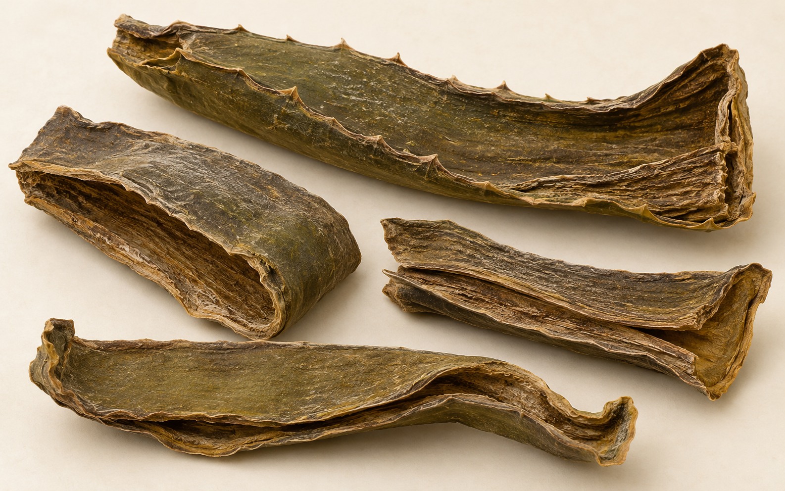 Candelabra aloe — dried materia medica discussed