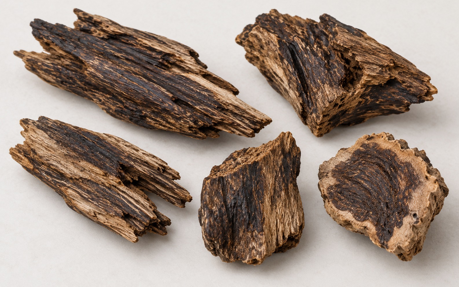 Agarwood — dried materia medica discussed
