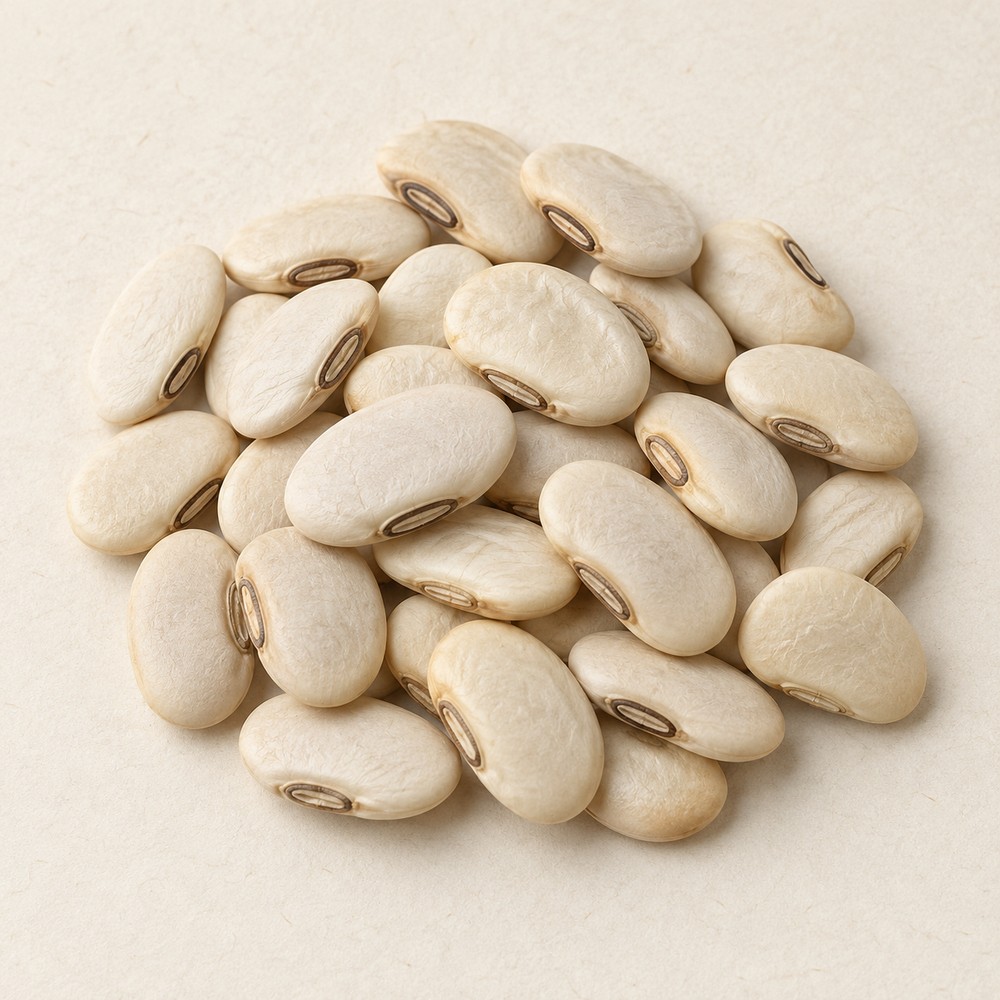 Hyacinth bean — Dried materia medica