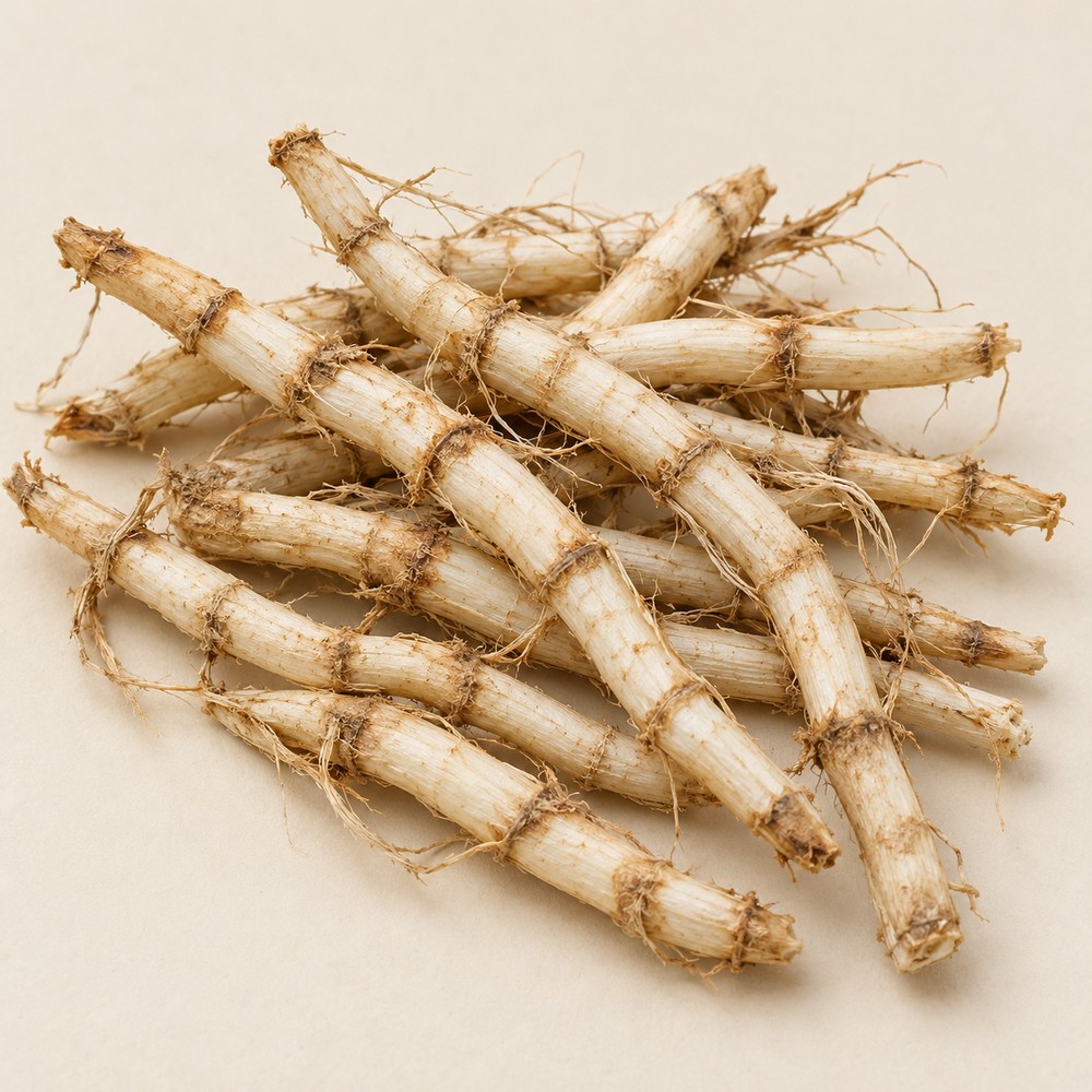 Cogongrass rhizome — Dried materia medica