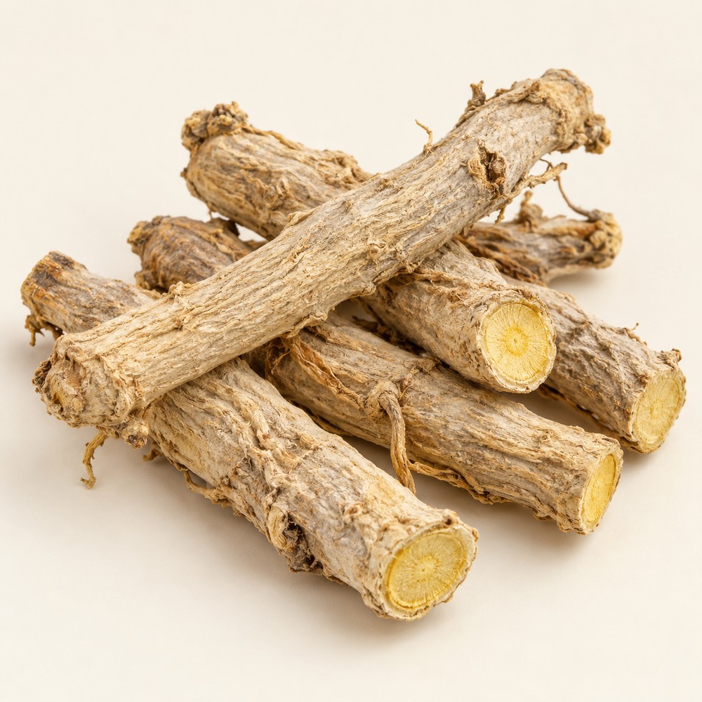 Indigowoad root — Dried materia medica