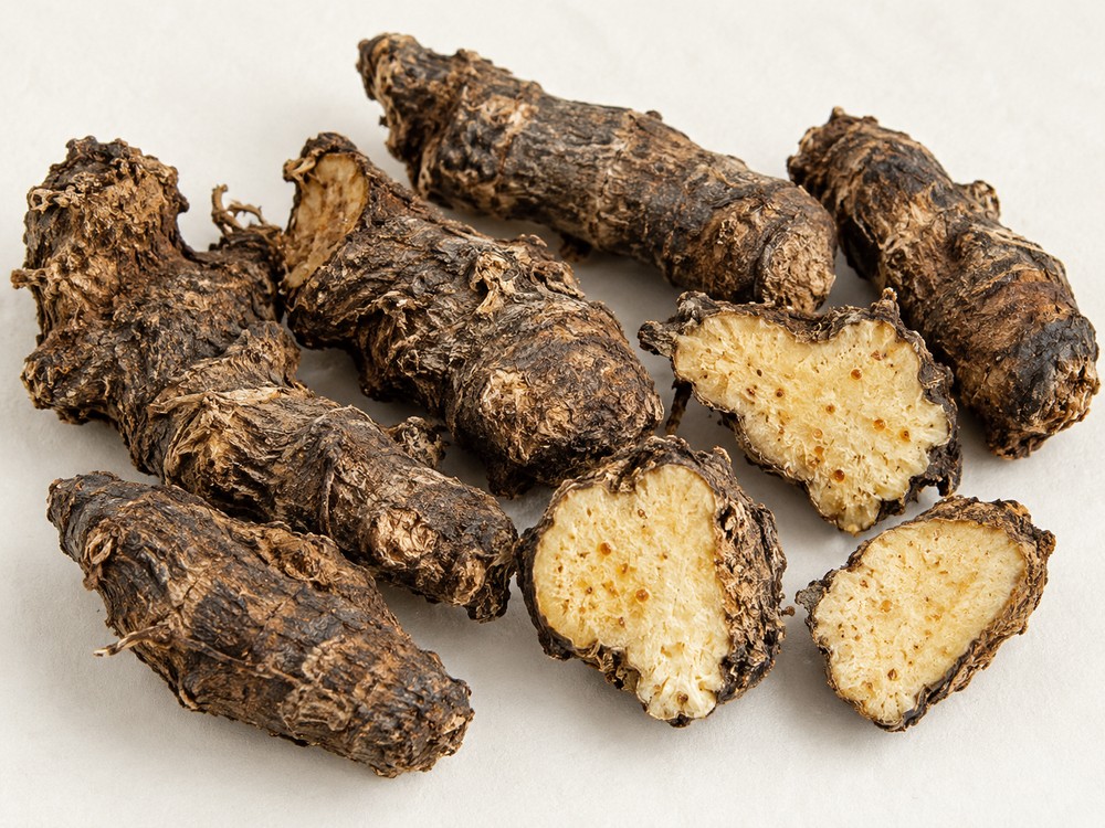 Cang Zhu (Atractylodes rhizome) — Dried materia medica