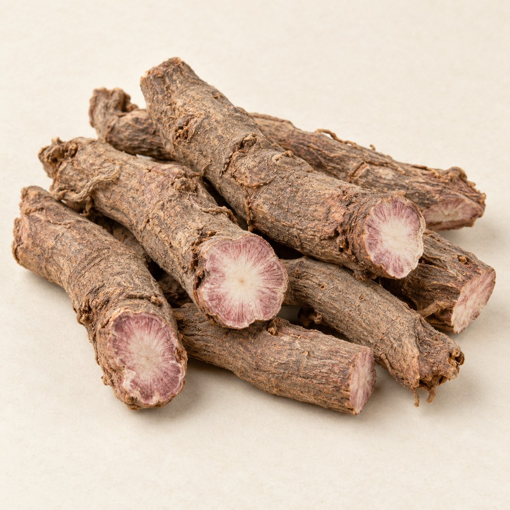Red peony root — dried materia medica