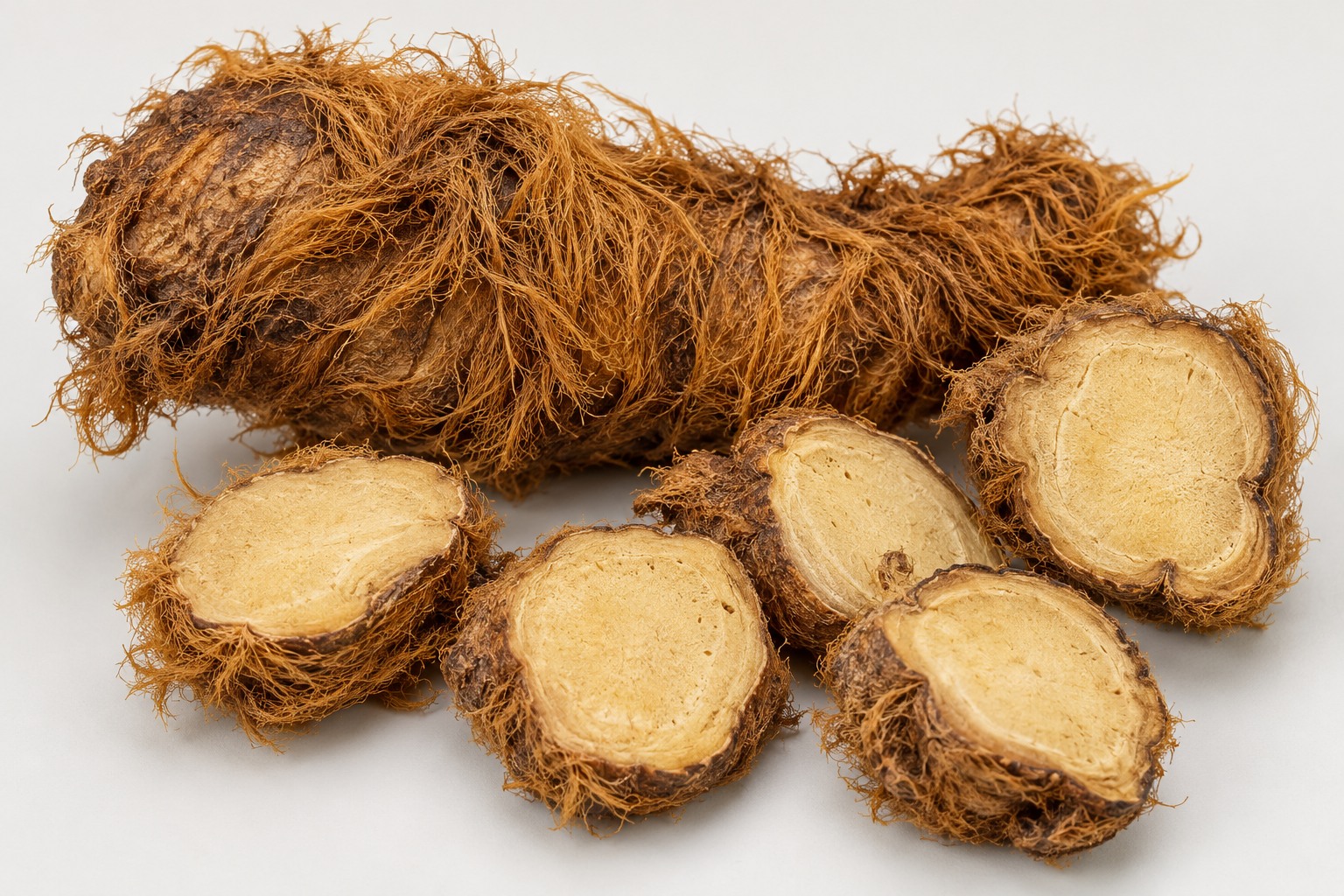 Cibot rhizome · Golden chicken fern — dried materia medica discussed