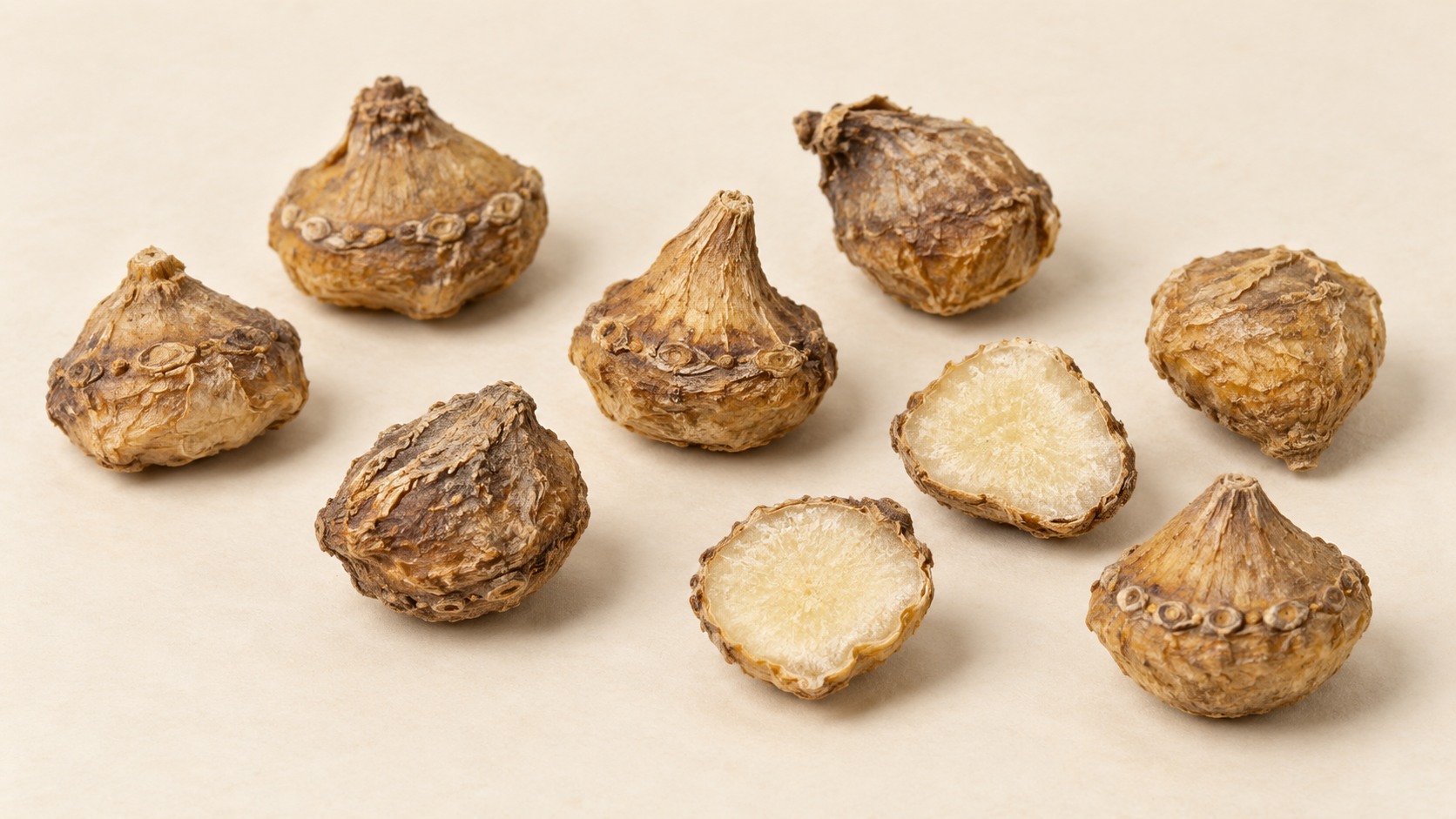 Dried Shan Ci Gu pseudobulbs and cut surface · AI illustration