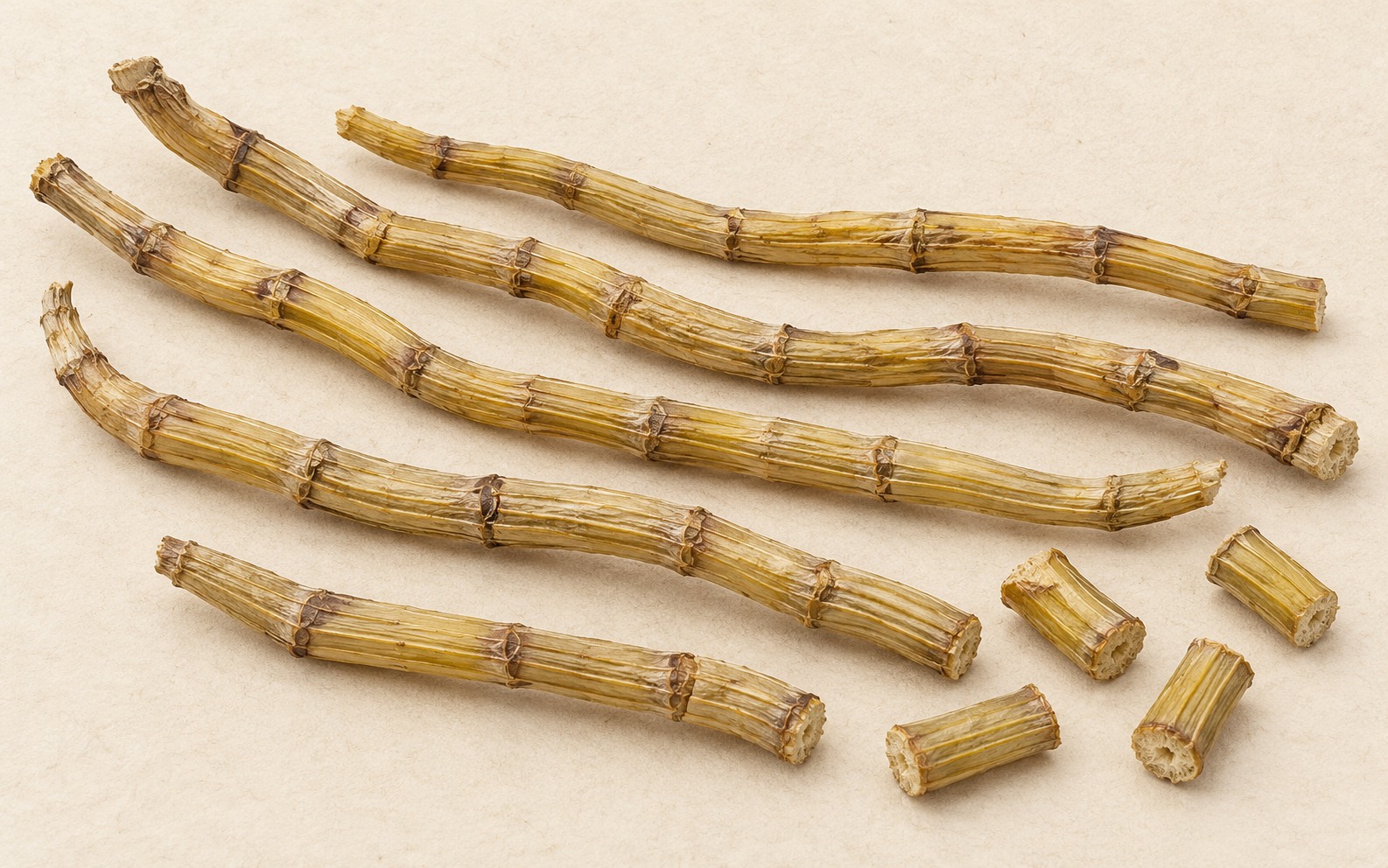 Dried nodal spindle-shaped stems · AI illustration