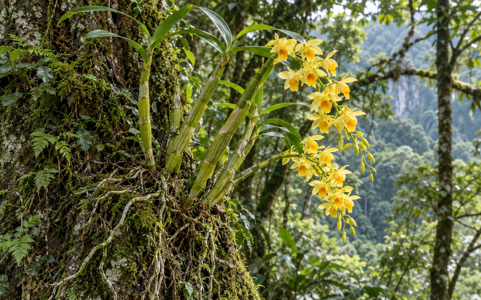Jointed Dendrobium canes with yellow flowers · AI illustration