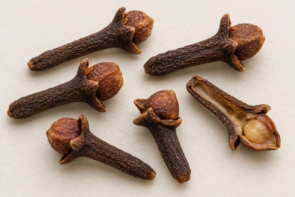 Clove — Dried materia medica