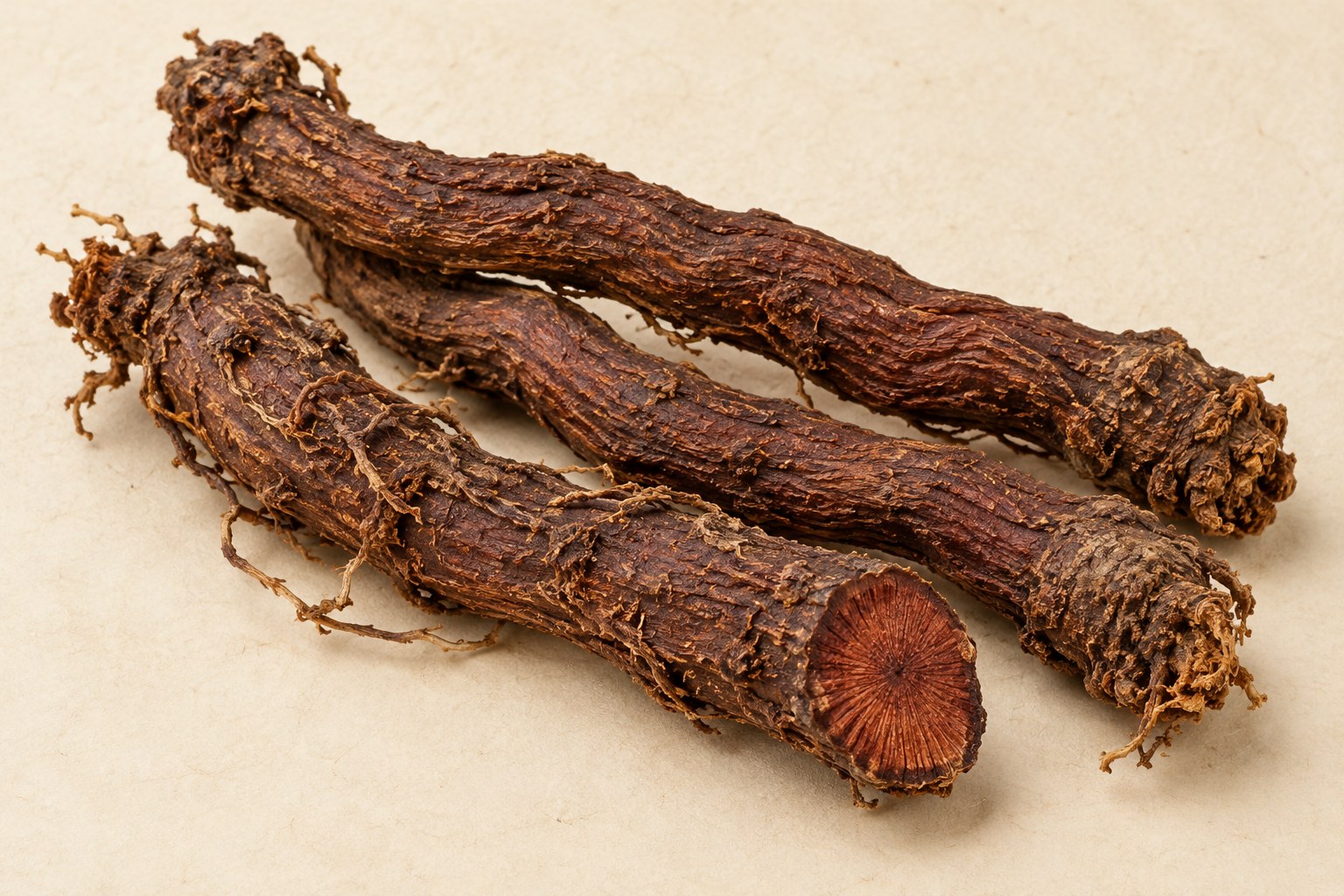 Di Yu · great burnet root — Dried materia medica