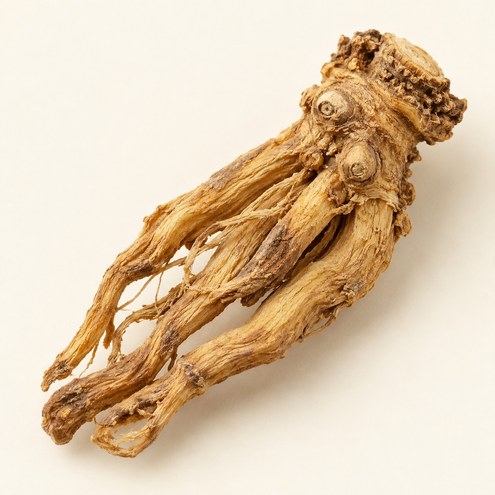 Du Huo — dried material