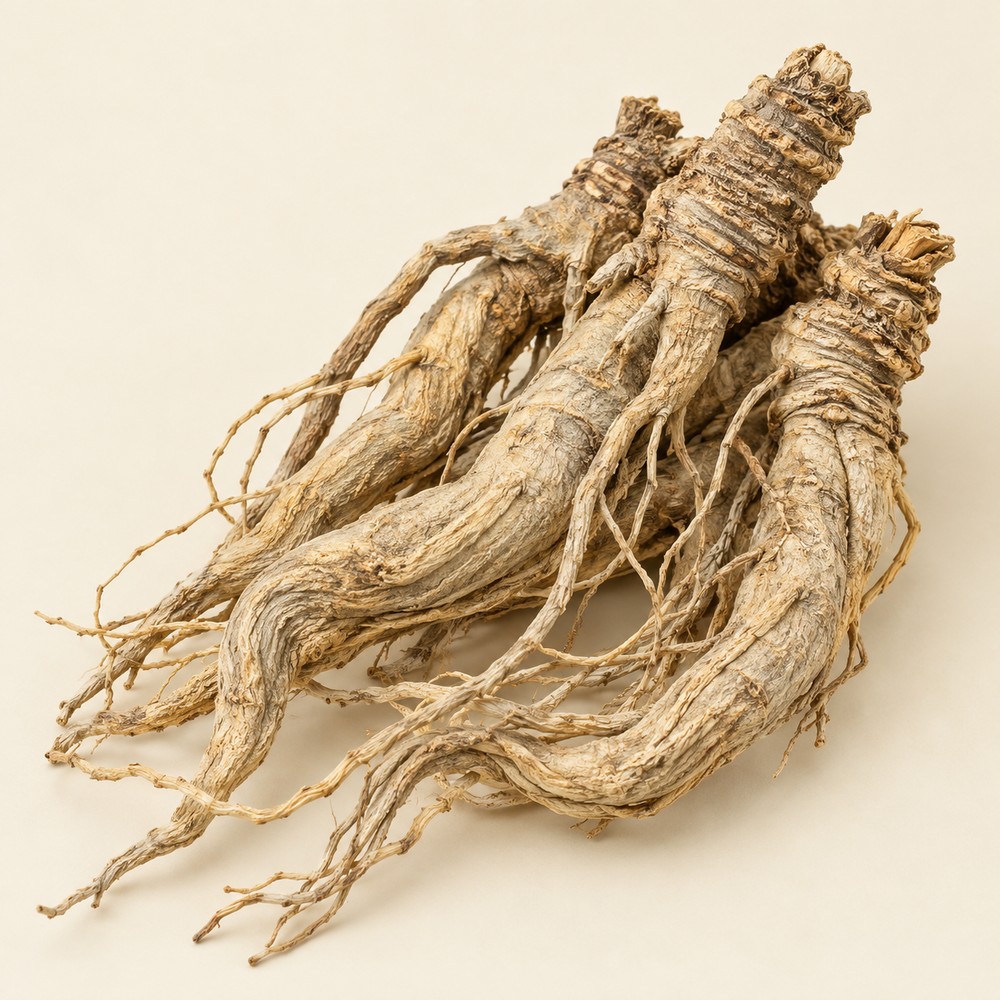 Fang Feng — dried material
