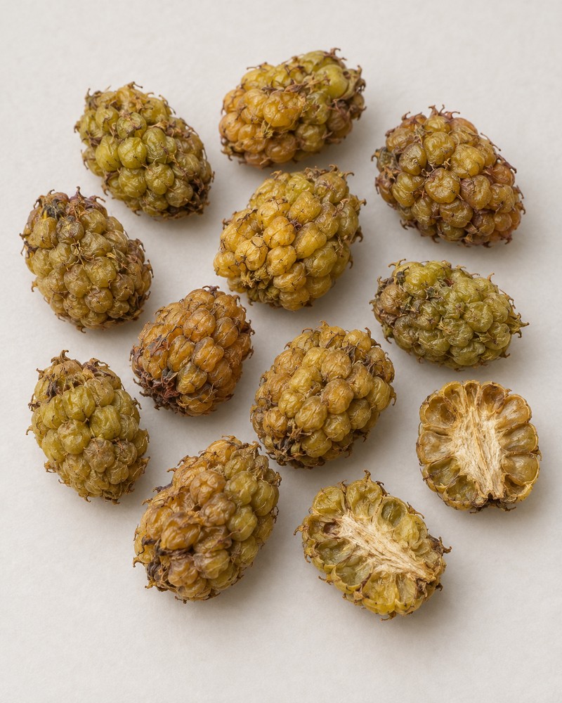 Fu Pen Zi · palmleaf raspberry fruit — Dried materia medica
