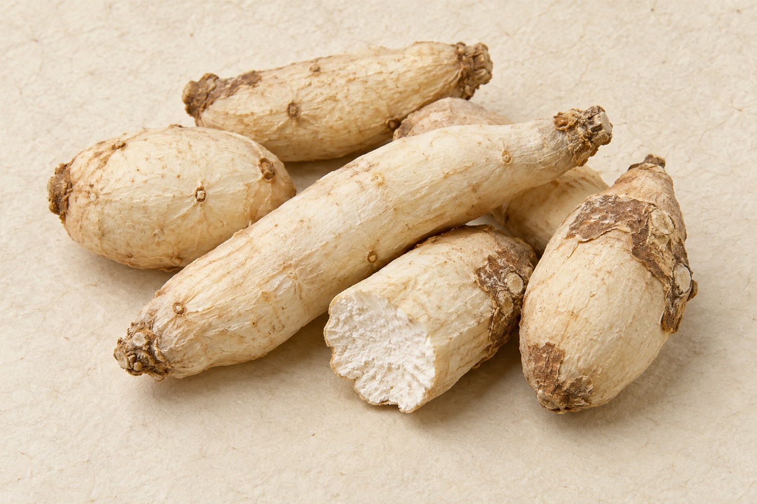 Gansui (Kansui root) — Dried materia medica