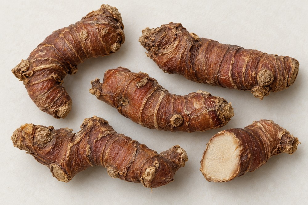 Lesser galangal — Dried materia medica