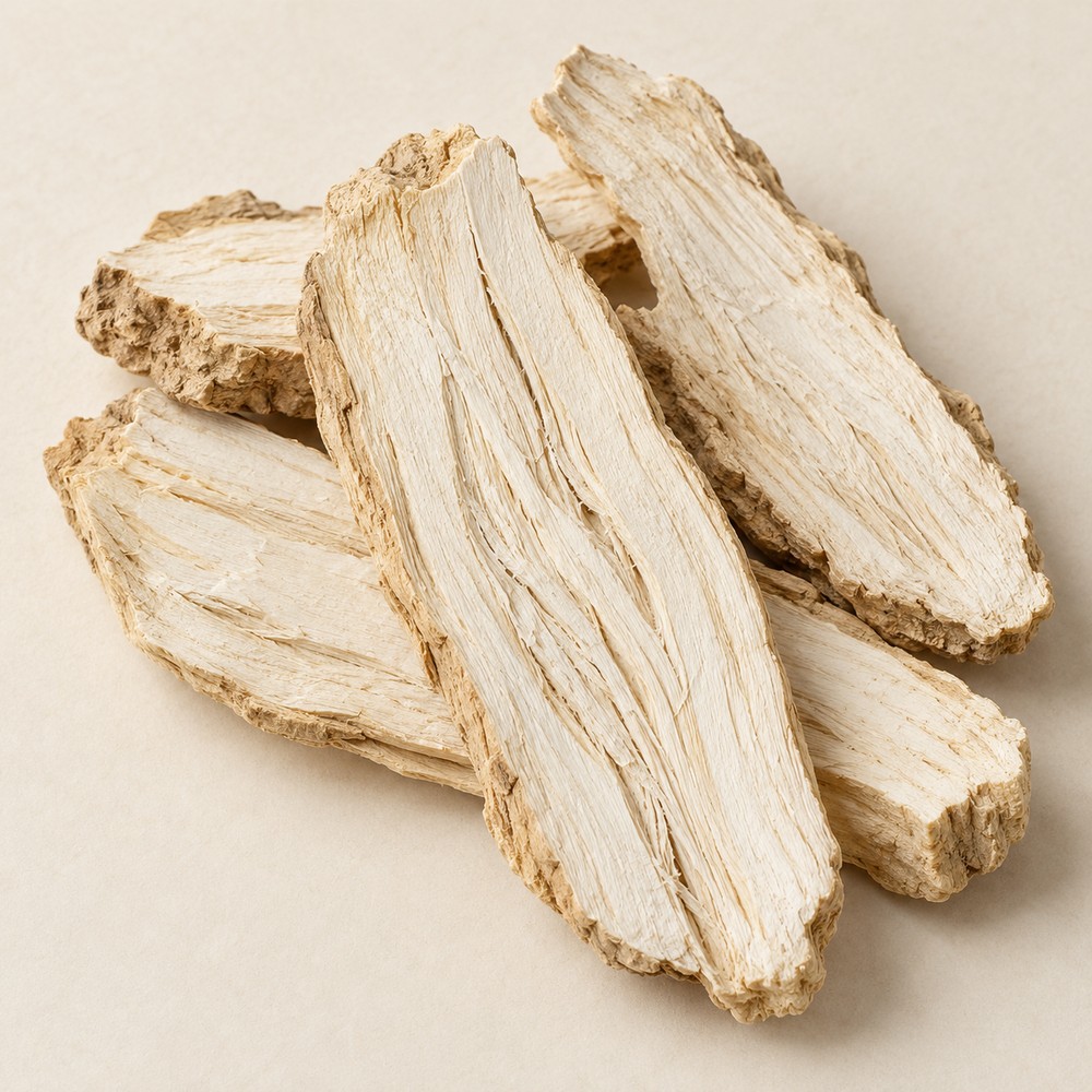 Kudzu root — dried materia medica