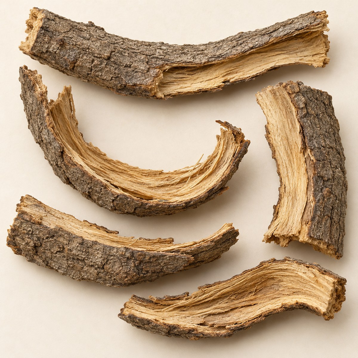 He Huan Pi · silk-tree bark — Dried materia medica