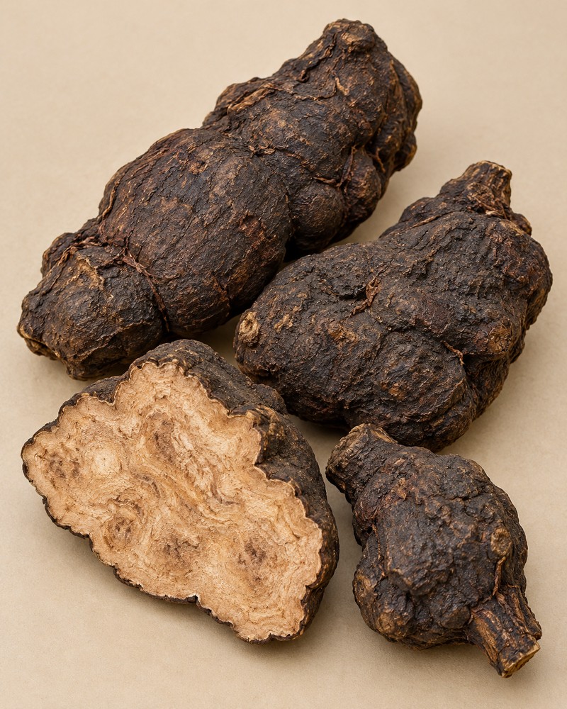 He Shou Wu · fleeceflower tuber — Dried materia medica