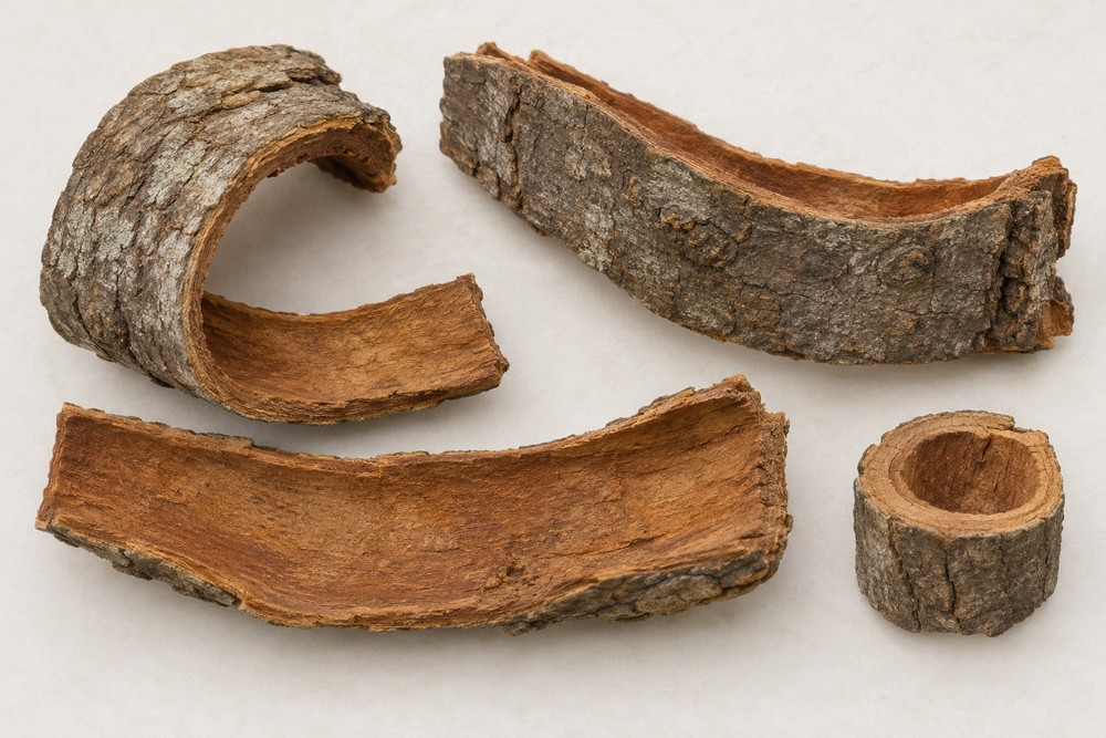 Magnolia bark — dried material