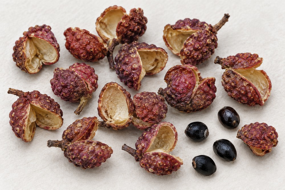 Sichuan pepper pericarp — Dried materia medica