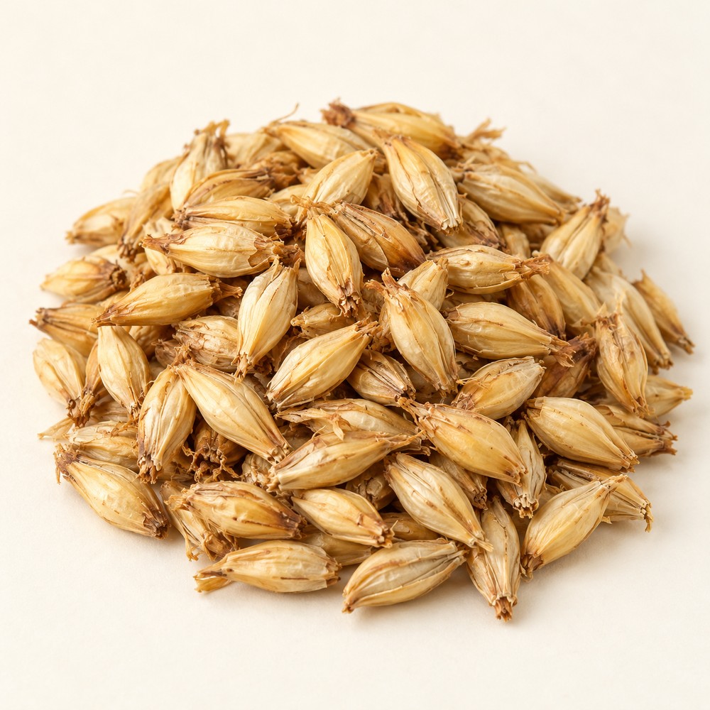 Barley malt — Dried materia medica