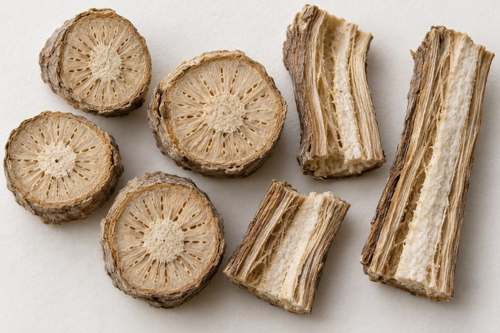 Akebia stem — Dried materia medica