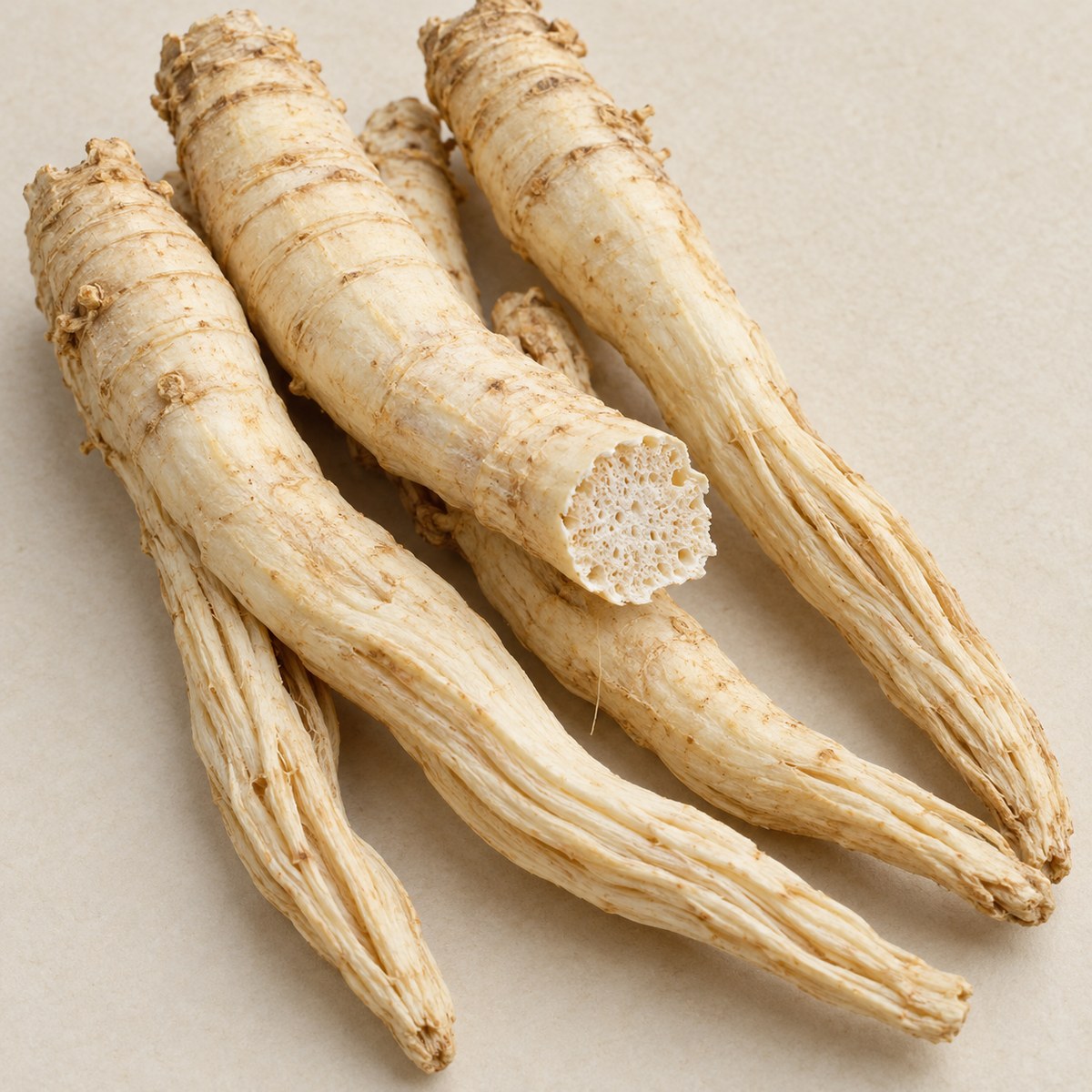 Nan Sha Shen · fourleaf ladybell root — Dried materia medica