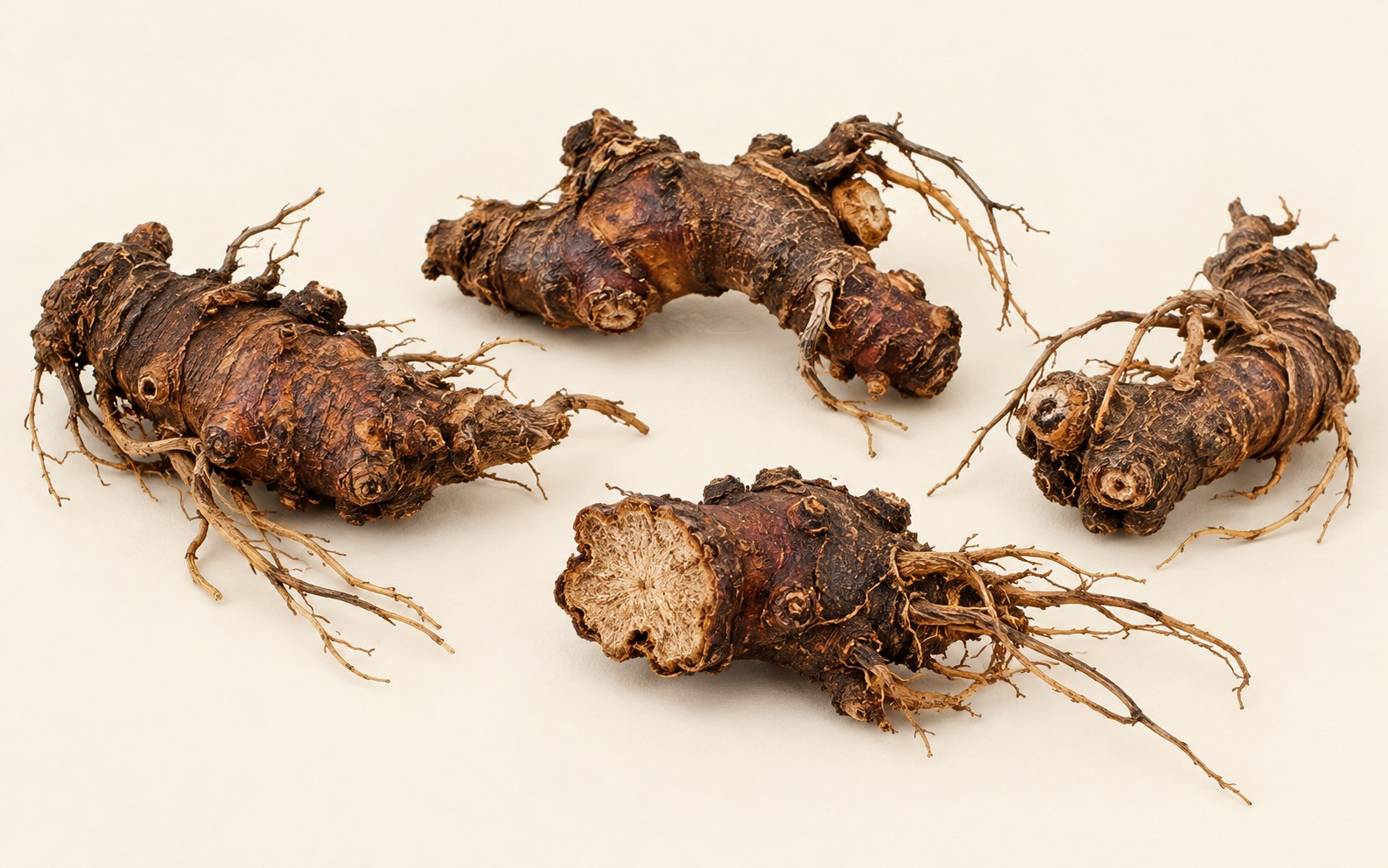 Himalayan may-apple — dried materia medica discussed