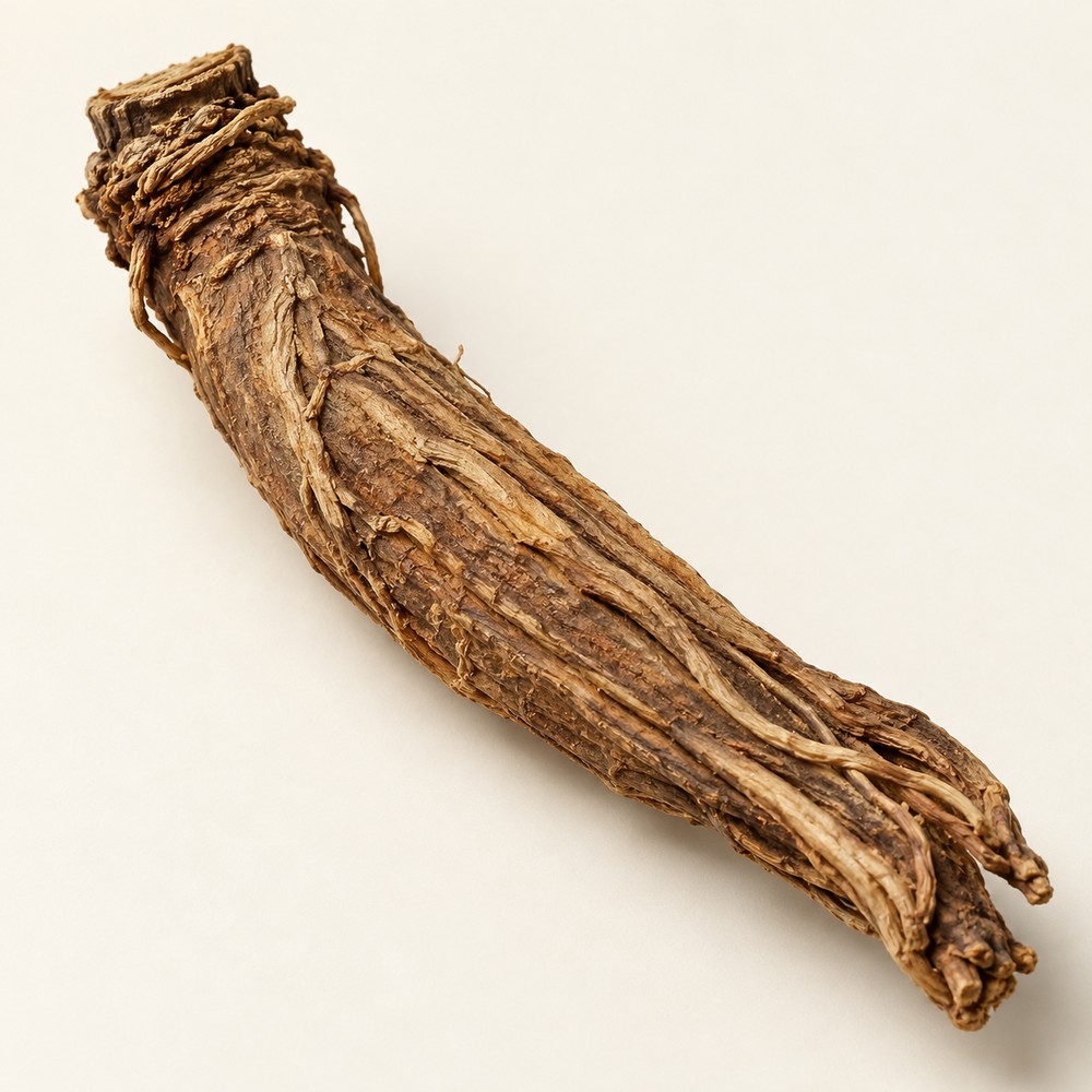 Qianhu root — dried materia medica