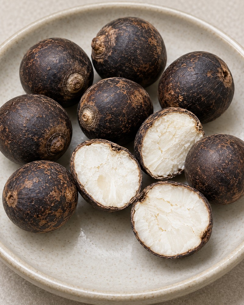 Qian Shi (dry-fried) — dried material