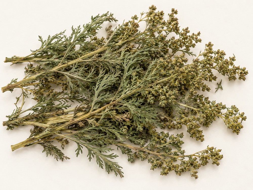 Qing Hao (sweet wormwood) — Dried materia medica