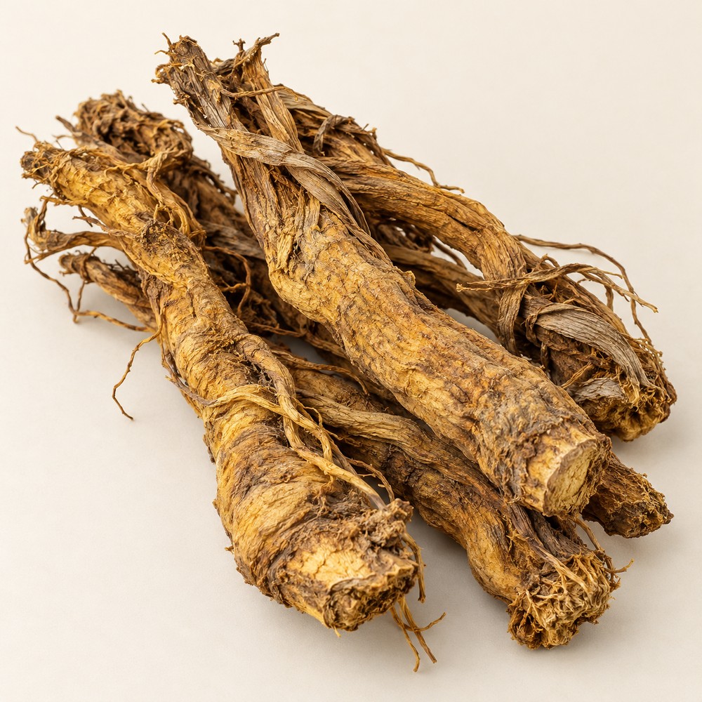 Largeleaf gentian root — Dried materia medica