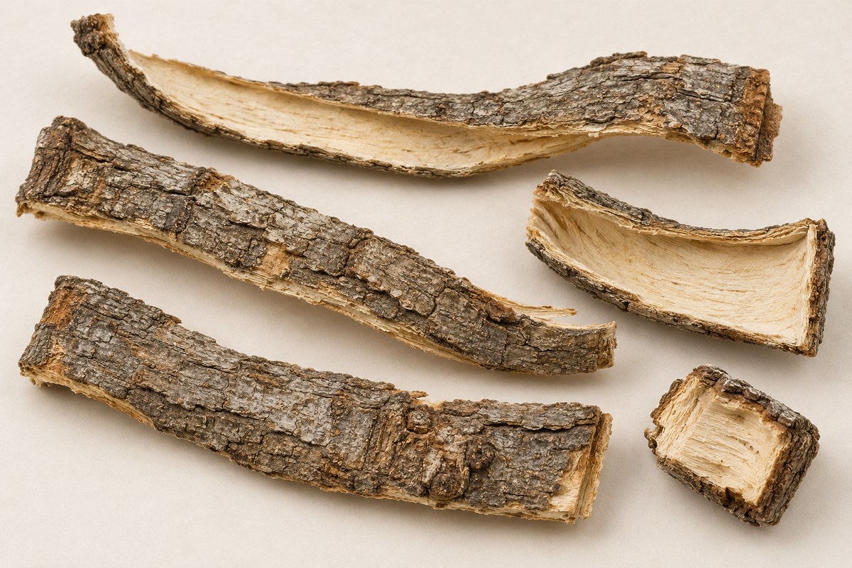 Qin Pi — dried material