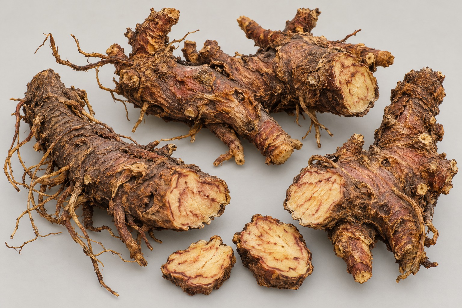 Roseroot — dried materia medica discussed