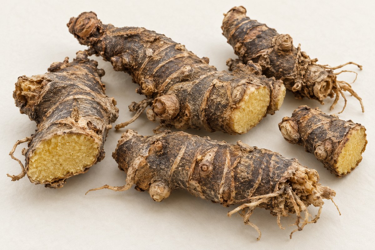 She Gan · blackberry lily rhizome — Dried materia medica
