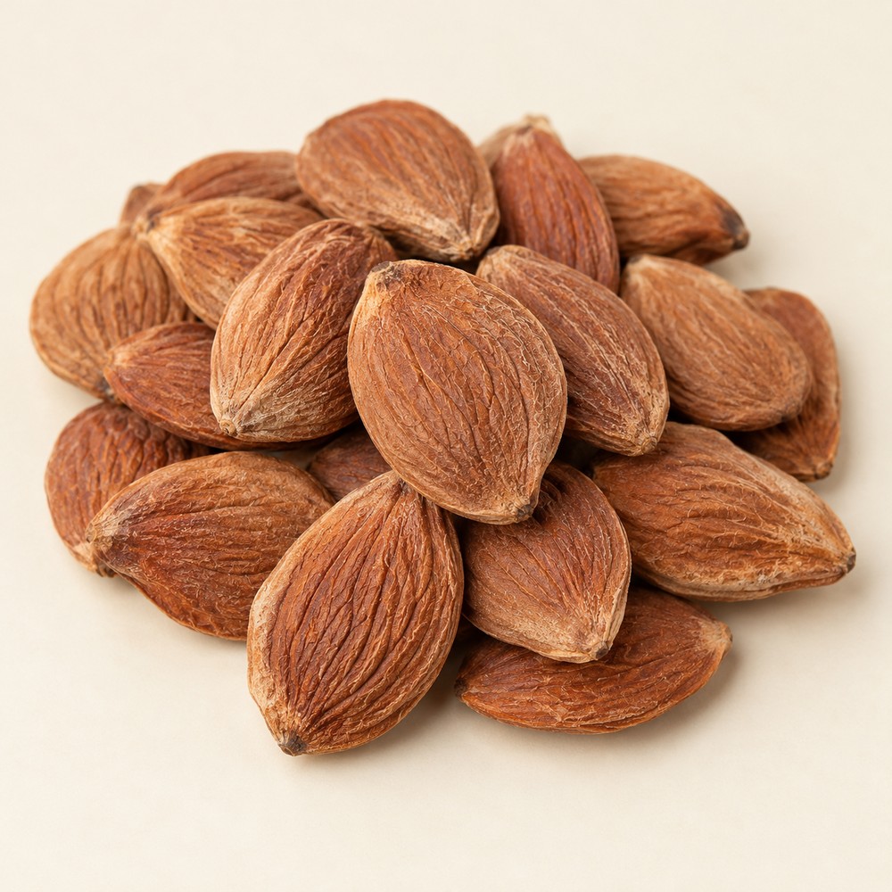 Peach kernel — dried materia medica