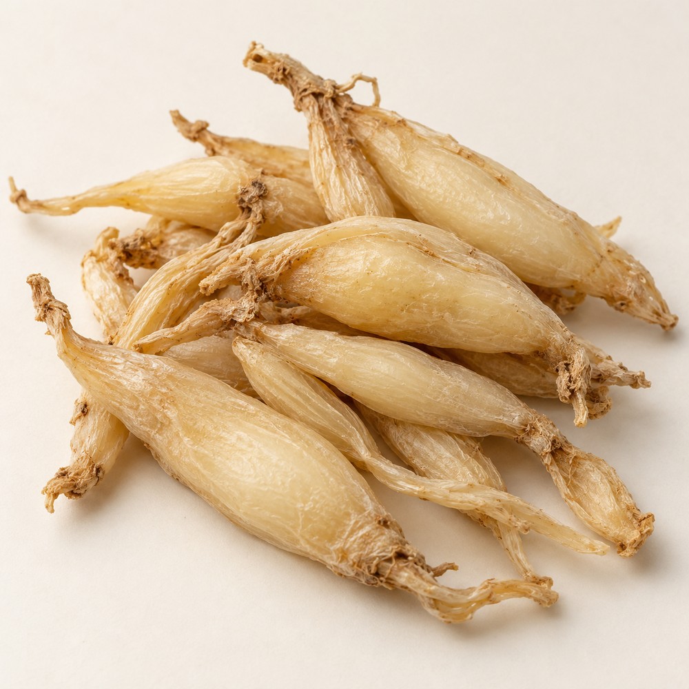 Cochinchinese asparagus root — Dried materia medica