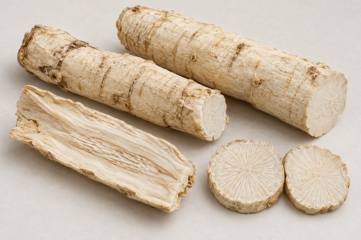 Tian Hua Fen · snakegourd root — Dried materia medica