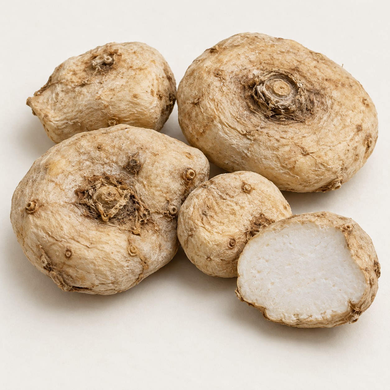 Tian Nan Xing · jack-in-the-pulpit tuber — Dried materia medica