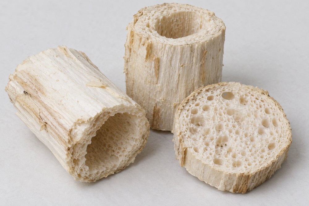 Tetrapanax pith — dried material