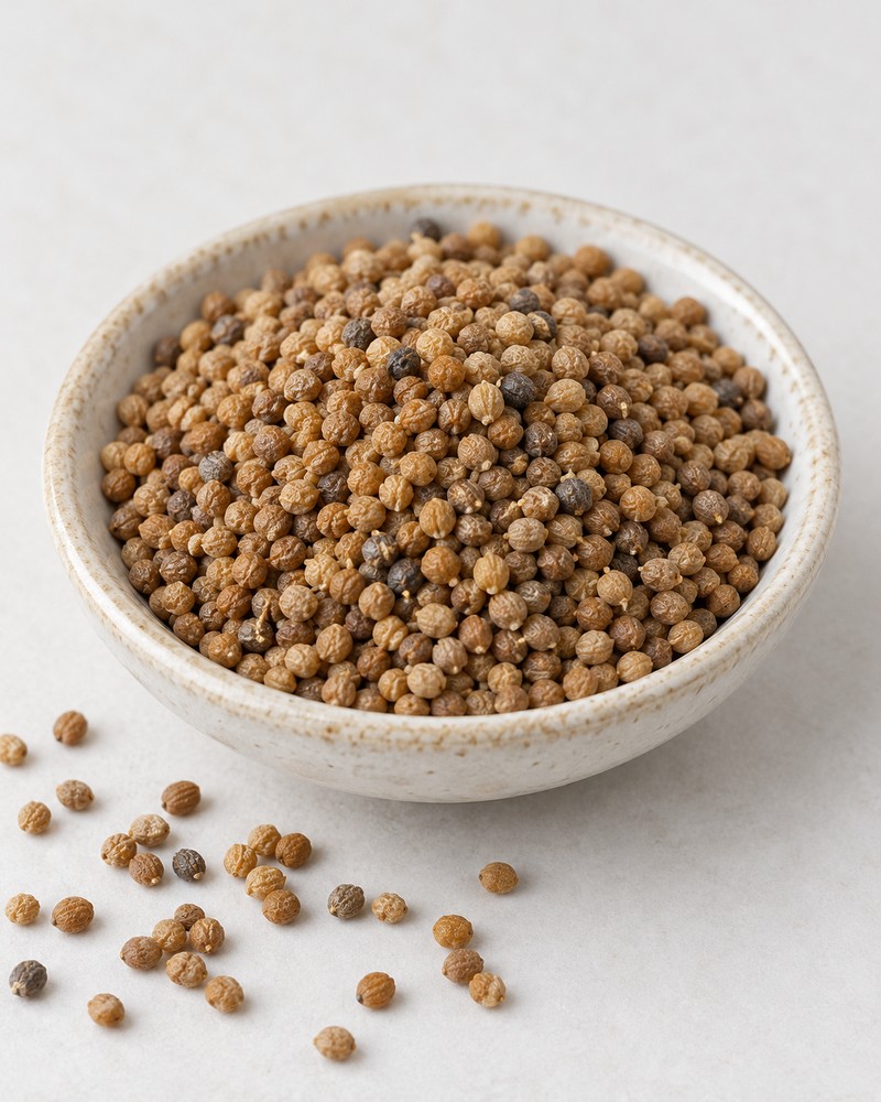 Tu Si Zi · Chinese dodder seed — Dried materia medica