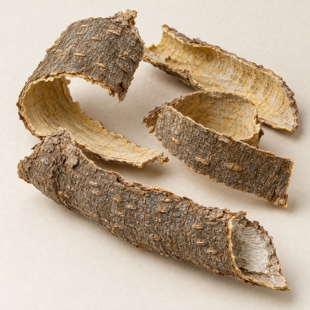 Wu Jia Pi · slenderstyle acanthopanax bark — Dried materia medica
