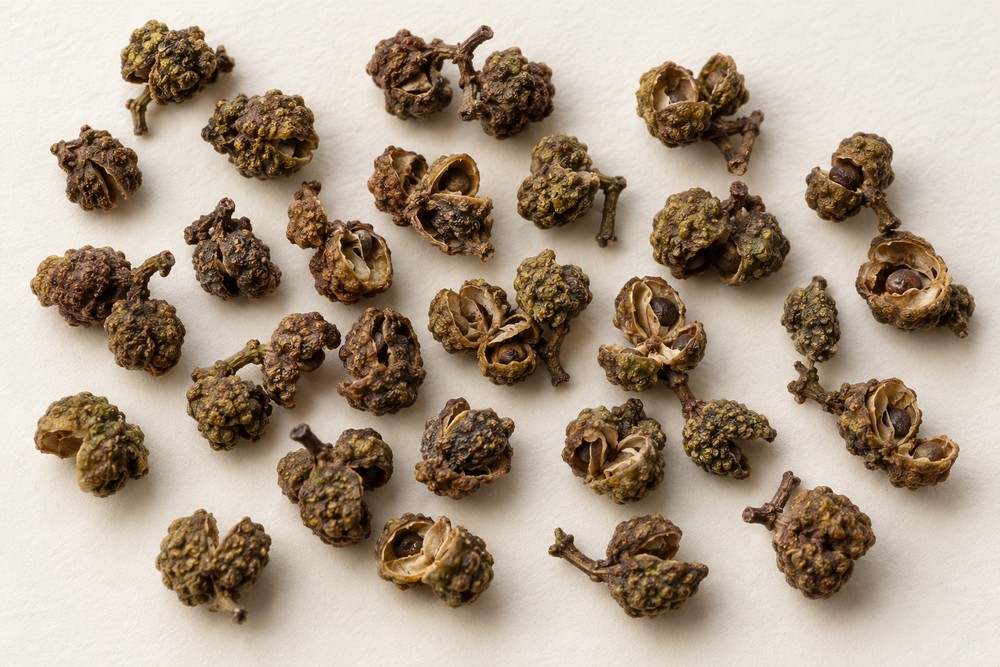 Evodia fruit — Dried materia medica