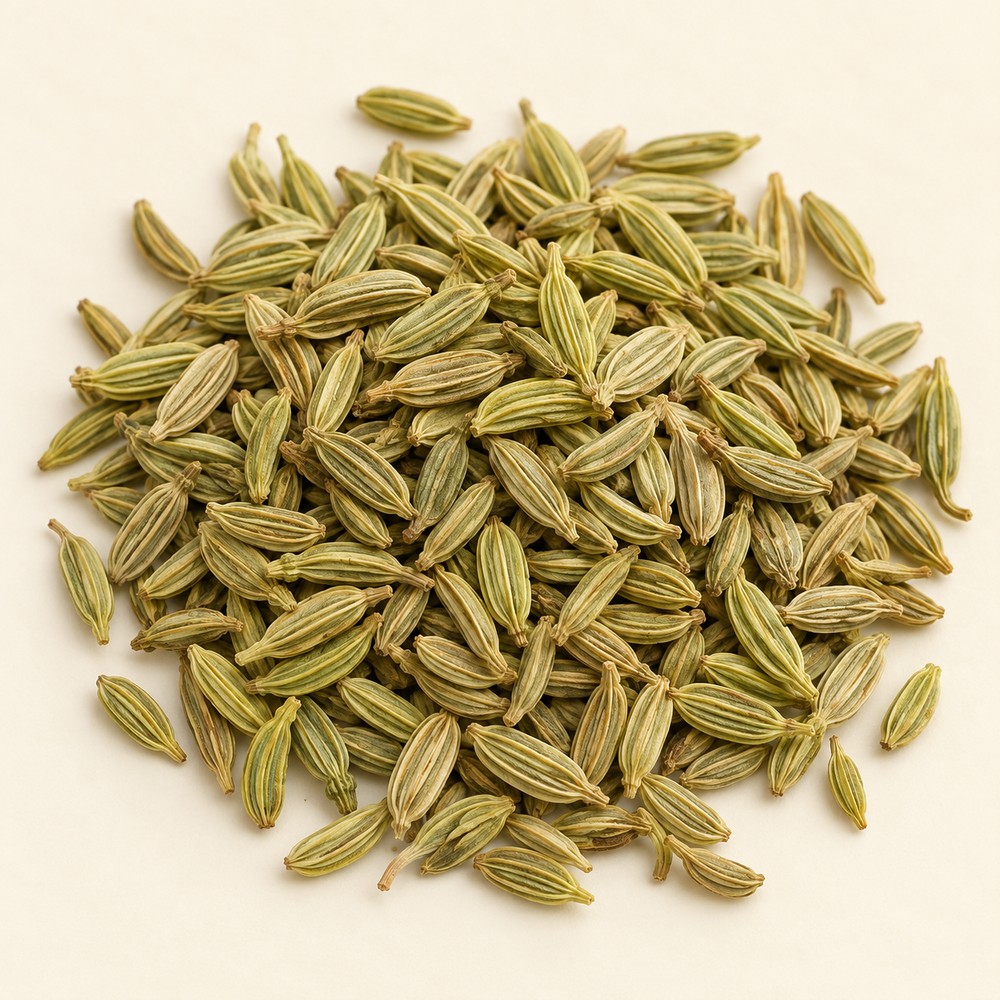 Fennel fruit — Dried materia medica