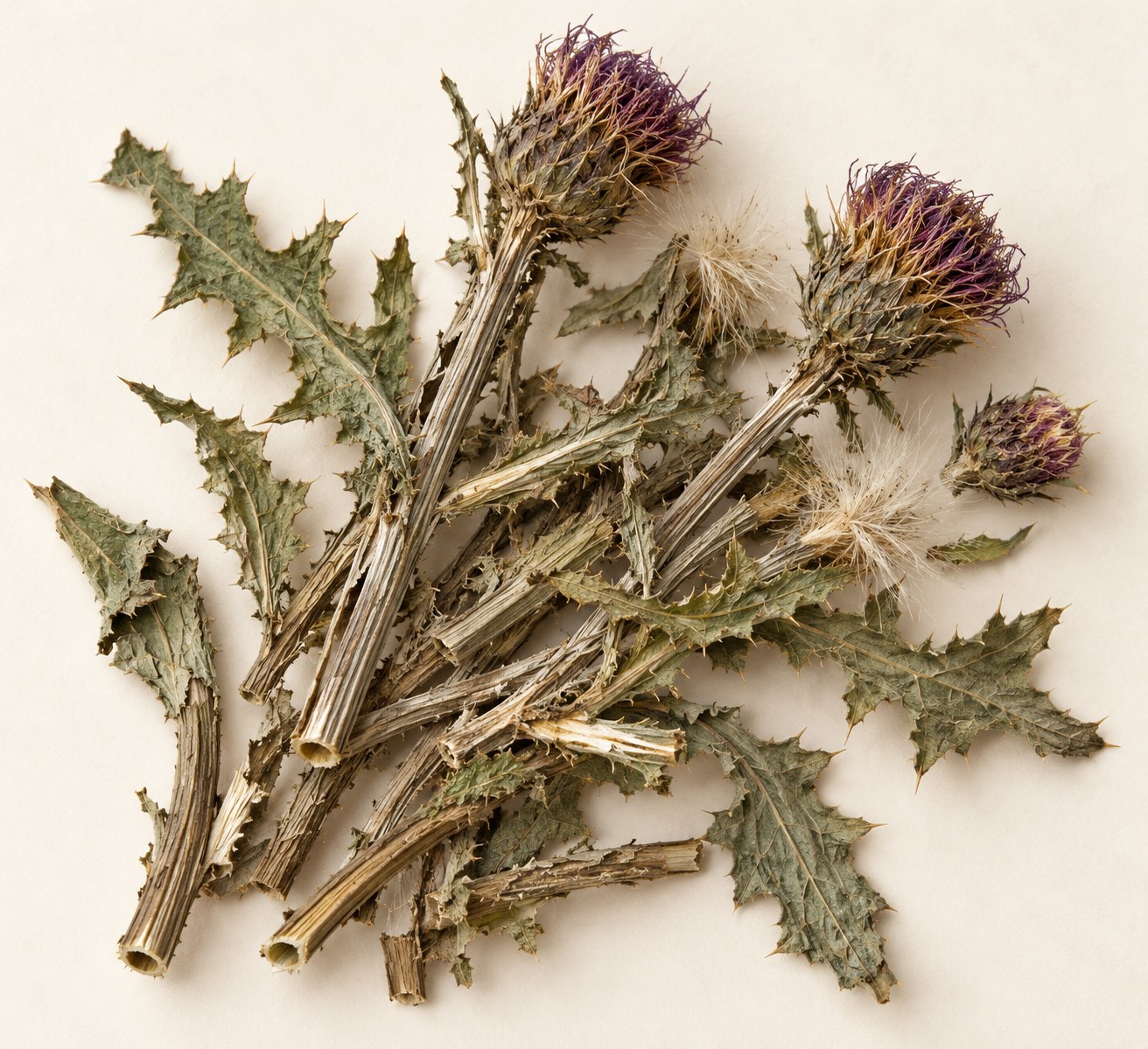 Xiao Ji · field thistle herb — Dried materia medica