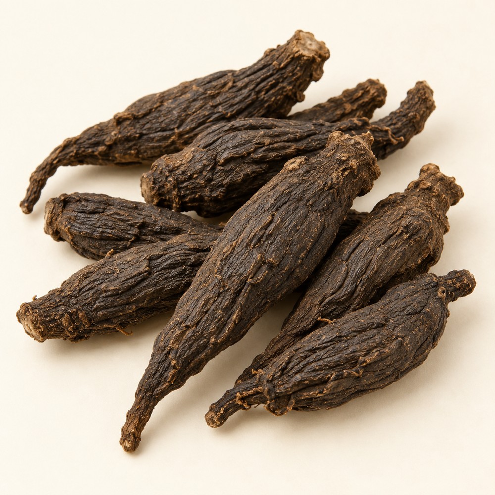 Figwort root — dried materia medica