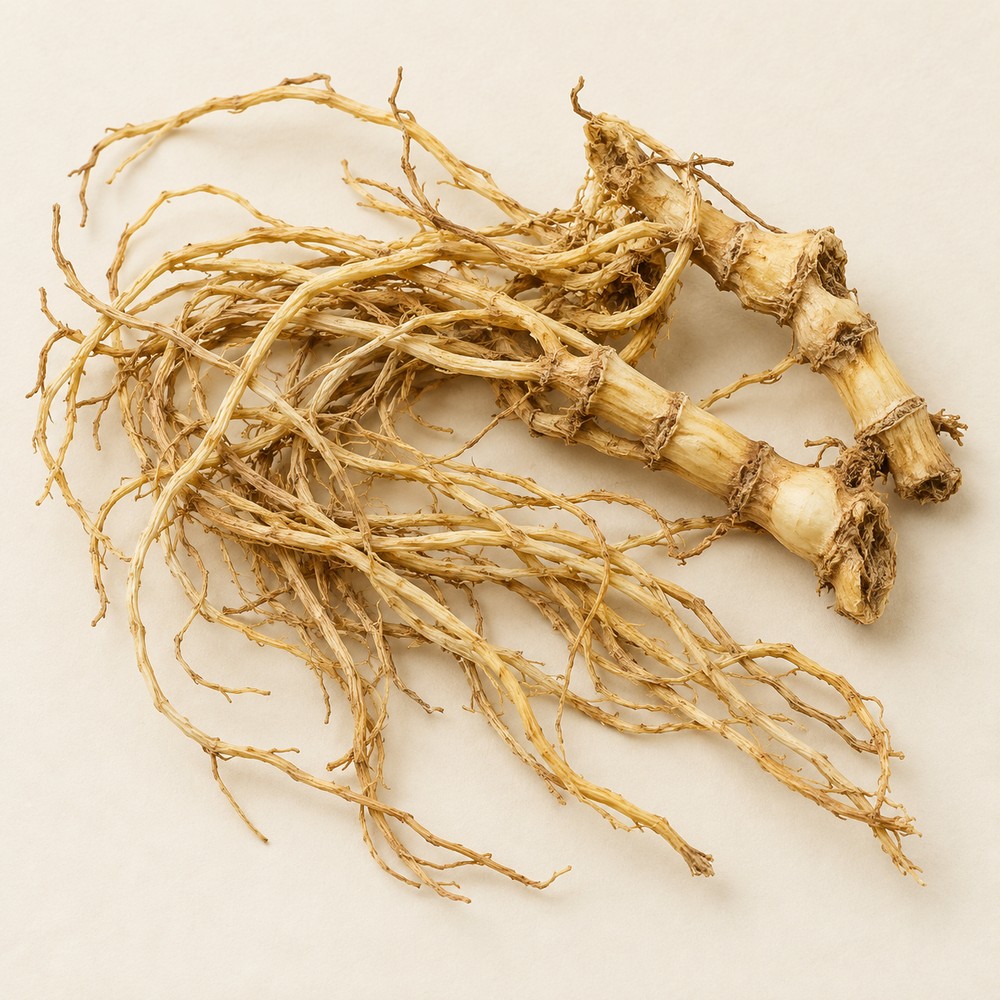 Paniculate swallowwort — Dried materia medica