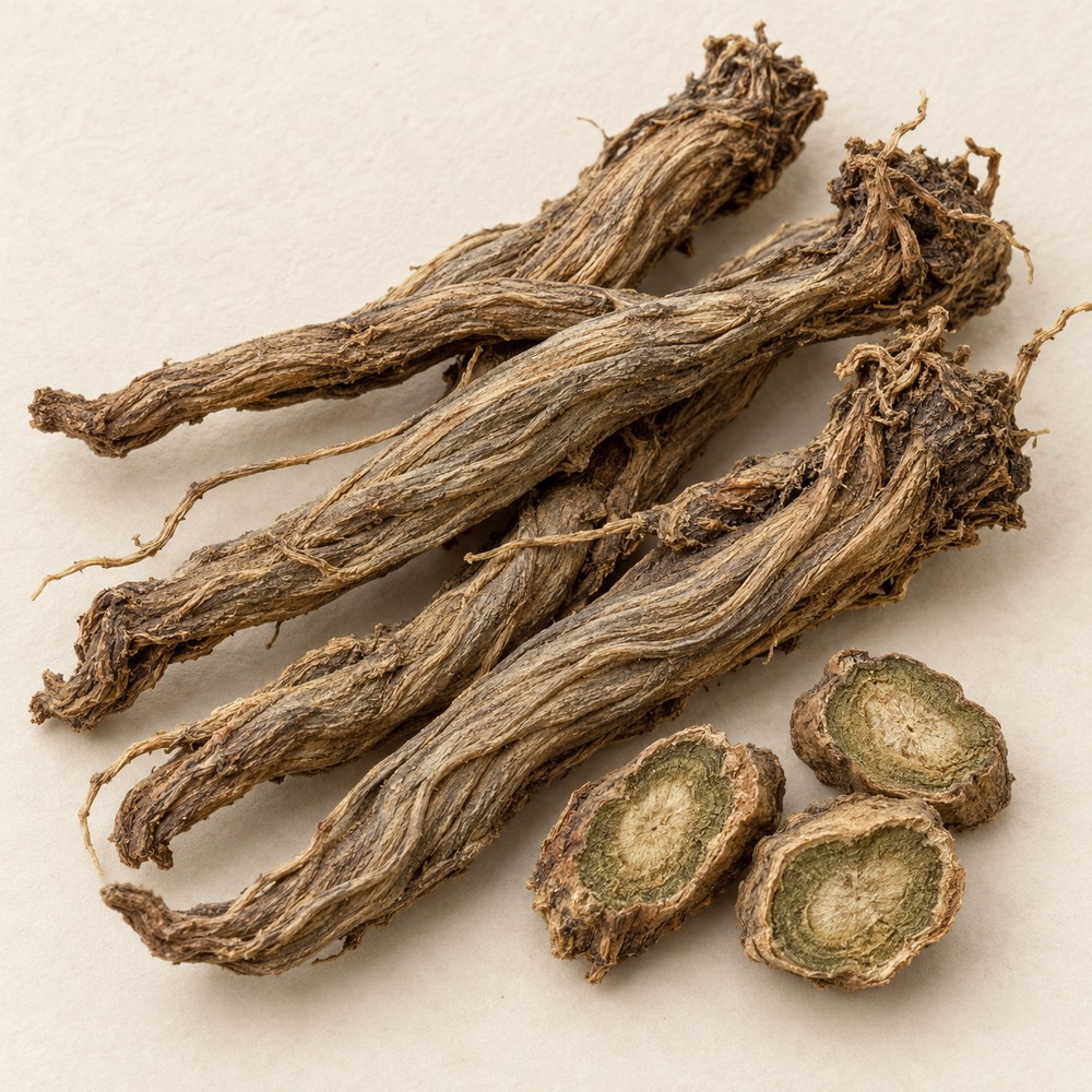Teasel root — Dried materia medica
