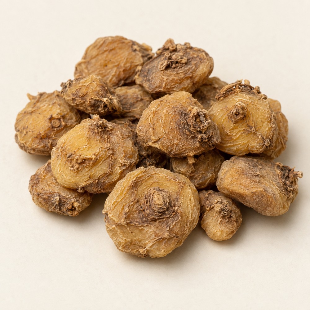 Yanhusuo tuber — Dried materia medica