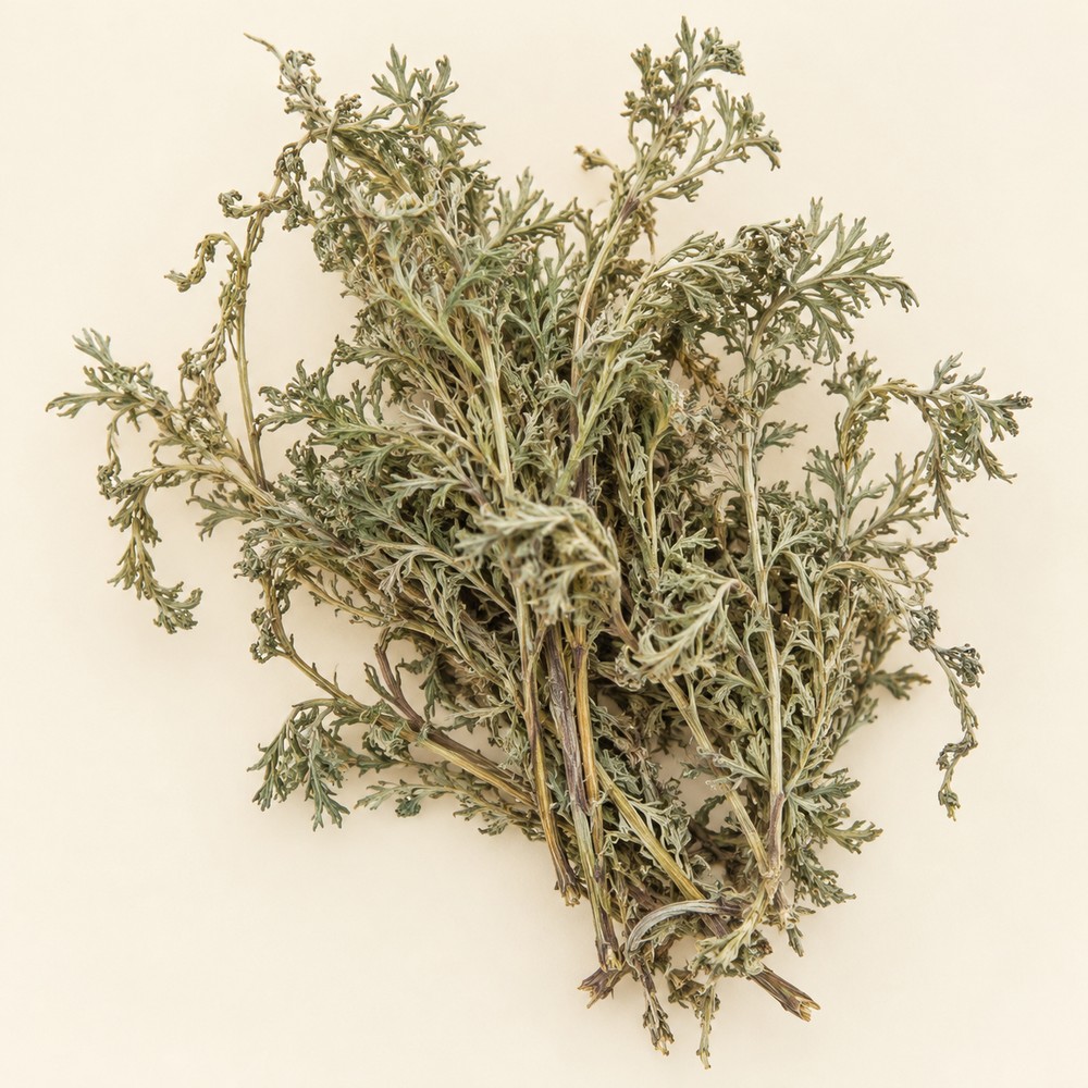 Yin Chen — dried material