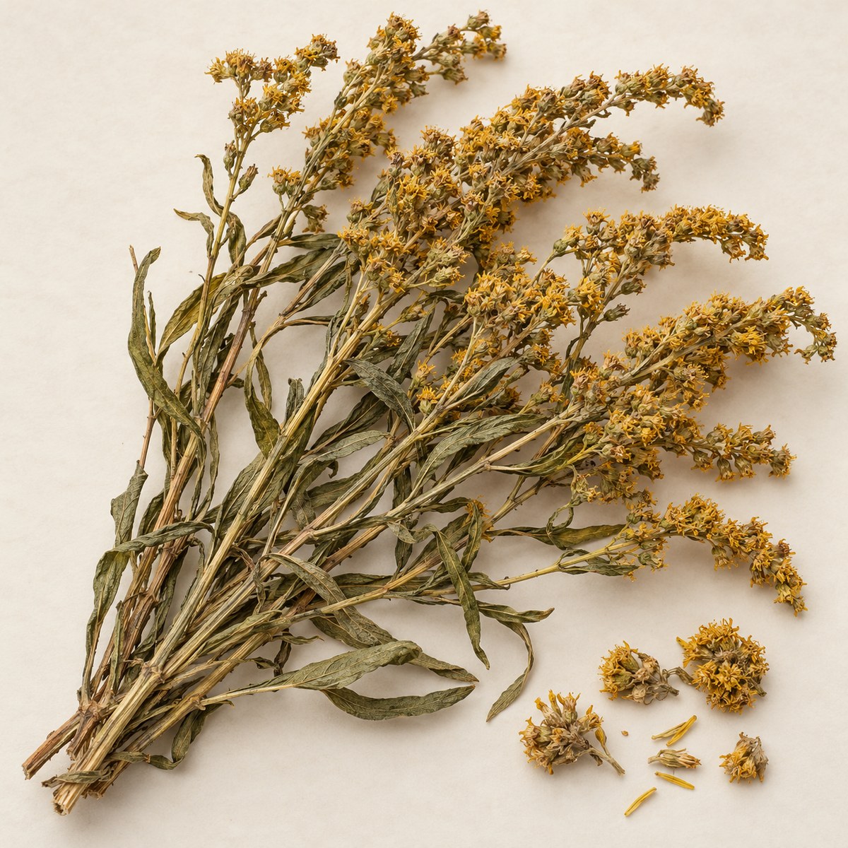 Yi Zhi Huang Hua · common goldenrod herb — Dried materia medica